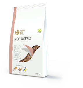 Mealworms